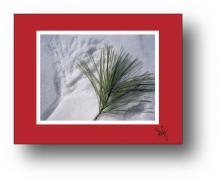 Pine holiday card