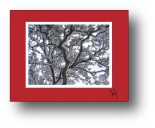 Snow Silhouette holiday card - horizontal