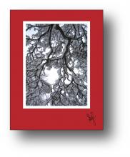 Snow Silhouette holiday card - vertical