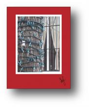 Tree Lights holiday card Tree Lights holiday card