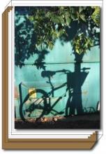 Blue Bike box set Blue Bike box set