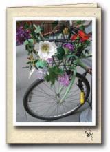 Flowers in bicycle basket