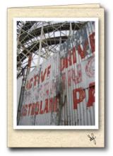 Cyclone roller coaster